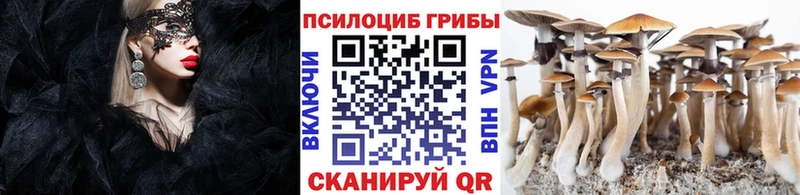 Галлюциногенные грибы Psilocybe Луга
