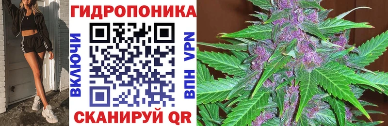 shop формула  купить  цена  Луга  Каннабис план 